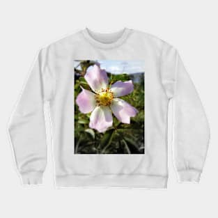 old-fashioned roses by Fox Creek & Columbia River 3 Crewneck Sweatshirt